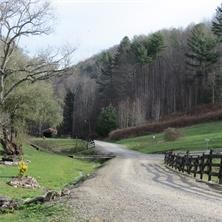 R14 Quarter Horse Lane
