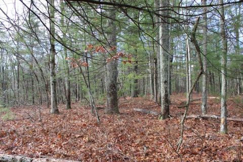 41 Wild Deer Trail