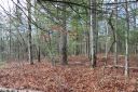 41 Wild Deer Trail sold home in Zirconia, SC