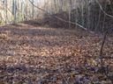 28 Henry Dingus Way sold home in Maggie Valley, SC