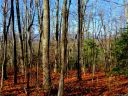 733 Slick Rock Road 1-A sold home in Brevard, SC