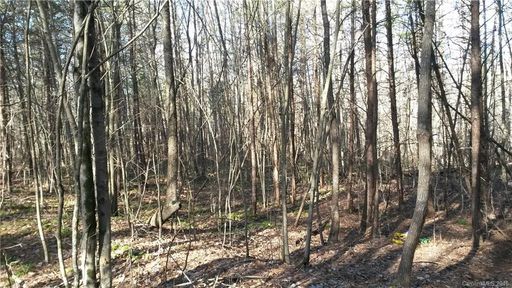3553 Still Knoll Lane