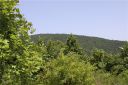 14 Crossing Circle 5 sold home in Fairview, SC