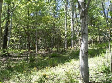 Lot 7 Pisgah Forest Drive