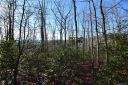 Tbd Fox Lane 15 sold home in Brevard, SC