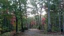 Lot 55 Grants Mountain Road sold home in Marion, SC