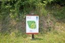 32 Grovepoint Way Lot 11 sold home in Asheville, SC