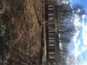 1003 Forest Drive sold home in Marshville, SC