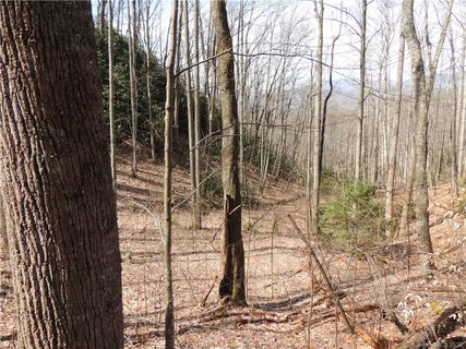 Tbd Lot 07 Hunting Lodge Drive sold home in Hunting Lodge Acres, Black Mountain, NC