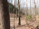 Tbd Lot 07 Hunting Lodge Drive sold home in Black Mountain, SC