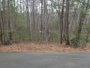 99999 Muirfield Circle Lot 9 sold home in Arden, SC