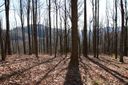 48 Timbercliff Trail 10 sold home in Black Mountain, SC