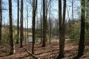 530 Slick Rock Road 27/28A sold home in Brevard, SC