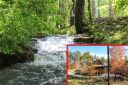 382 Westridge Drive sold home in Lake Lure, SC