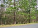 561 Peaceful Creek Drive 35 & 36 sold home in York, SC