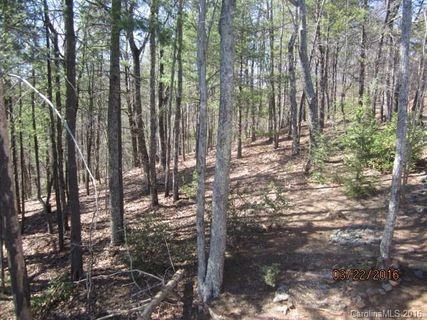 Lot 593 Grey Rock Road