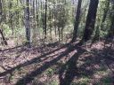 68 Candlewick Drive sold home in Salisbury, SC