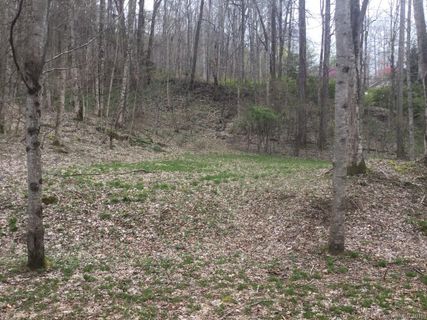 Lots 29 30 37 38 Apple Creek Road