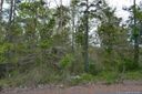 Lot 69 Falling Leaf Court sold home in Rock Hill, SC