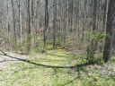 41 Rambling Ridge Road 6 sold home in Asheville, SC