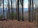 Tbd Rambling Ridge Road sold home in Asheville, SC
