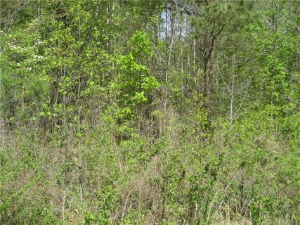 Lot 13 Short Cedar Trail