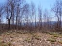 Lot A Justin Ridge sold home in Clyde, SC