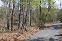 6 Coneflower Court sold home in Black Mountain, SC