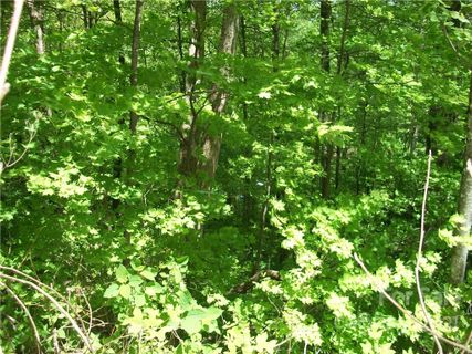53 Wildcat Run Road sold home in Maggie Valley Leisure Estates, Maggie Valley, NC