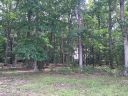 1538 Springsteen Road sold home in Rock Hill, SC
