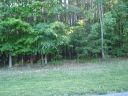 110 Holton Lane 2 sold home in Mooresville, SC