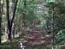 000 Fox Crossing None sold home in Rosman, SC