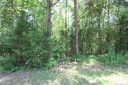 7641 Setter Trace Lane sold home in Charlotte, SC