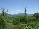 Lot 20 Frank Davis Road sold home in Waynesville, SC