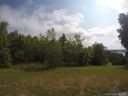 Lot 20 Goose Creek Lane sold home in Taylorsville, SC