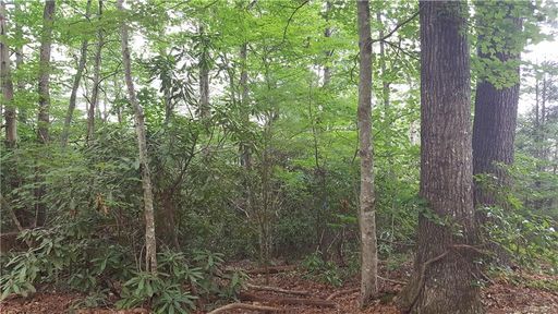 0 Willow Lake Drive 17 sold home in Willow Lake, Hendersonville, NC