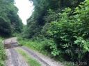 Tbd Miller Cove Road PT39 sold home in Black Mountain, SC