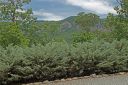 2 Garden Lane sold home in Lake Lure, SC