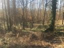 1854 Quailwood Drive sold home in Fort Mill, SC