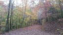38 41 42 Flaming Azalea Road sold home in Franklin, SC