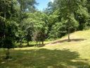 37 Ashton Forest Court sold home in Hendersonville, SC