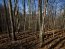 Lot 56 Comanche Trail sold home in Waynesville, SC