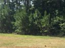 000 Colton Street 9 sold home in Oakboro, SC