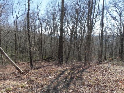 Lot 329 Dj Drive sold home in Butler Mountain Highlands, Fairview, NC