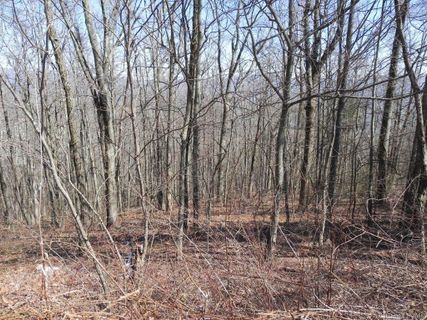 Lot 339 Ebby Ridge None sold home in Butler Mountain Highlands, Fairview, NC