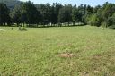 Lot 13 Shipman Parkway Lot # 13 sold home in Flat Rock, SC