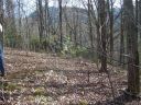 26 Appaloosa Trail sold home in Waynesville, SC