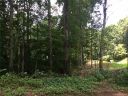 2613 Caroline Street 36 sold home in Statesville, SC