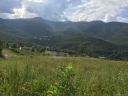 00 Macintosh Drive sold home in Waynesville, SC