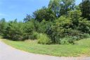 5 Tremorra Trail sold home in Leicester, SC